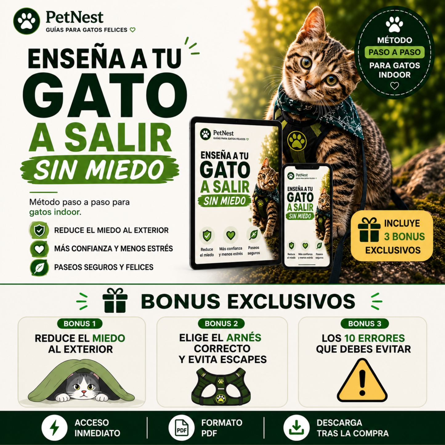Guía definitiva para sacar a tu gato sin estrés