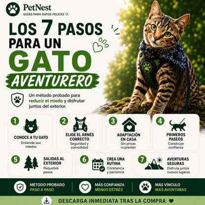 Guía definitiva para sacar a tu gato sin estrés