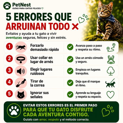 Guía definitiva para sacar a tu gato sin estrés